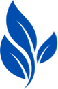 SynoGut
